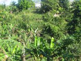 Fairfield Estate Montego Bay, St. James, Jamaica - Residential lot for Sale